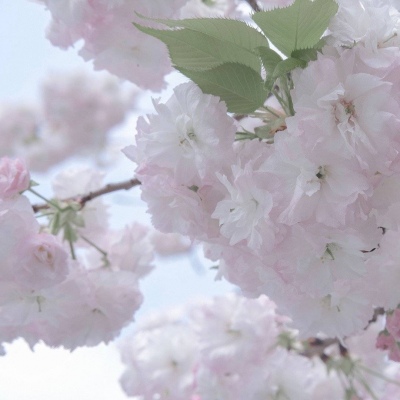 兽设原创改稿思路兽圈社群